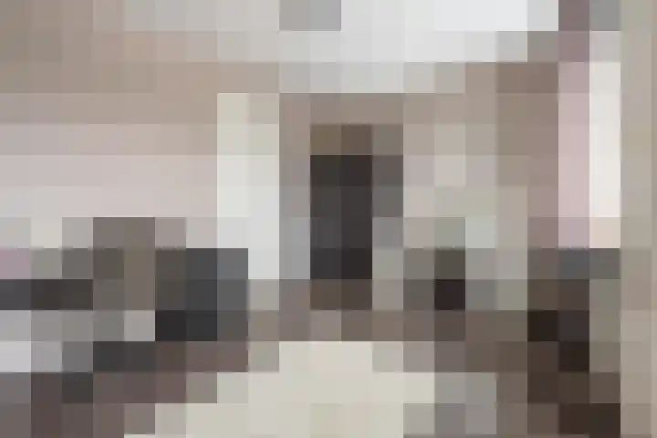 Pimpernelblauwtje 13 Tiel thumbnail 39