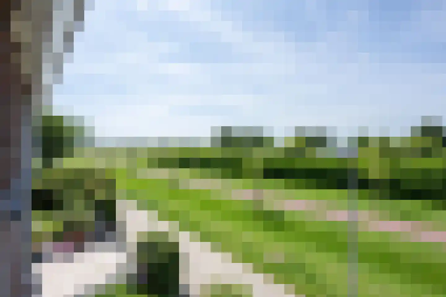 Pimpernelblauwtje 13 Tiel thumbnail 40