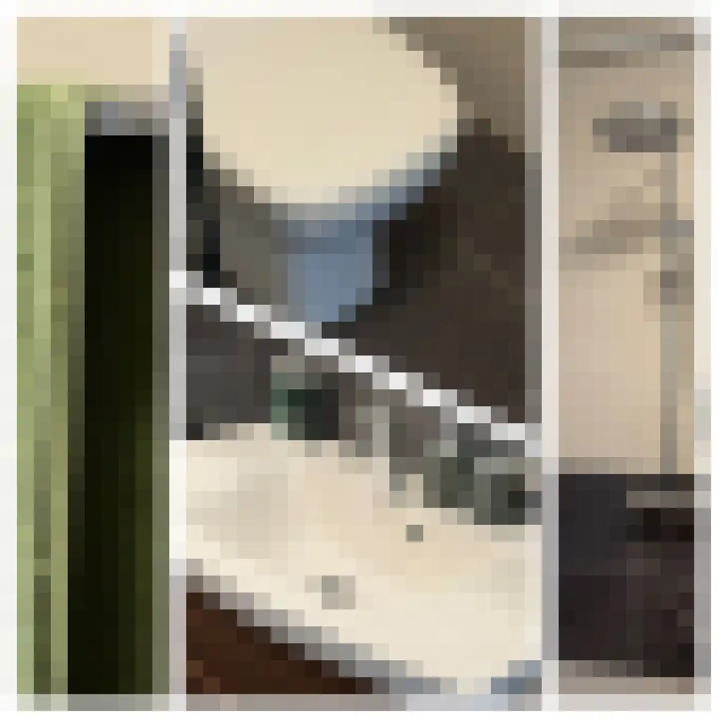 Pimpernelblauwtje 13 Tiel thumbnail 48