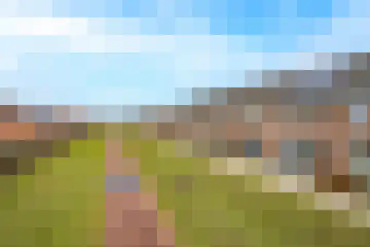 Pimpernelblauwtje 13 Tiel thumbnail 49