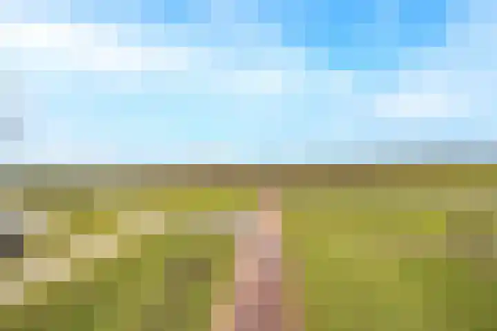 Pimpernelblauwtje 13 Tiel thumbnail 5