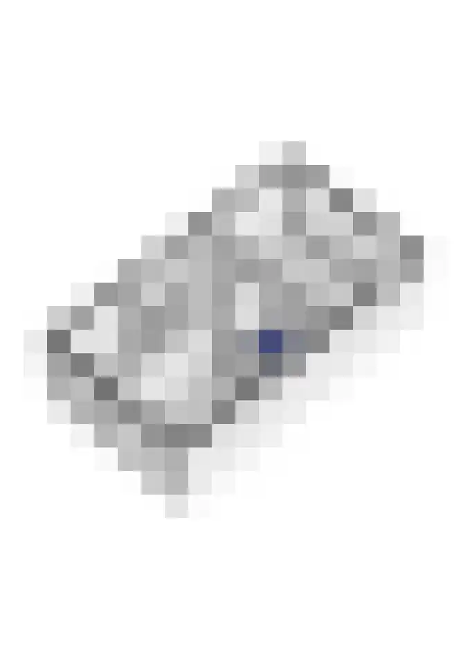 Pimpernelblauwtje 13 Tiel thumbnail 57