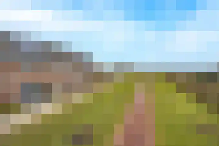 Pimpernelblauwtje 13 Tiel thumbnail 6