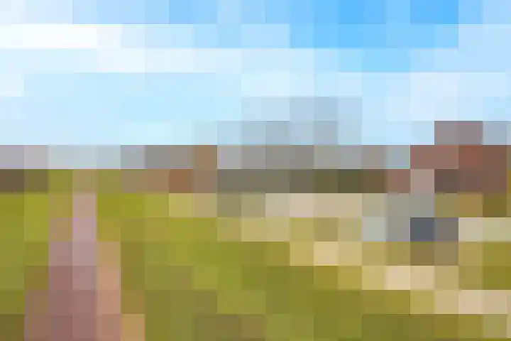 Pimpernelblauwtje 13 Tiel thumbnail 7