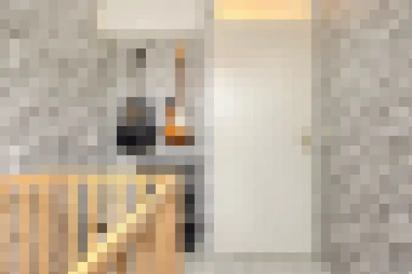 Pimperneldonk 19 Spijkenisse thumbnail 19