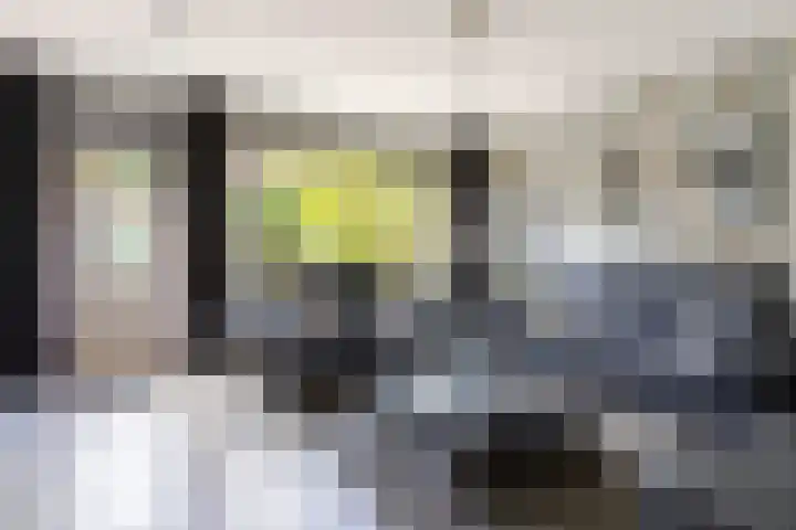Pimperneldonk 27 Spijkenisse thumbnail 17