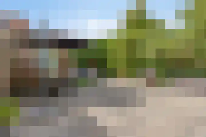 Pimperneldonk 27 Spijkenisse thumbnail 18