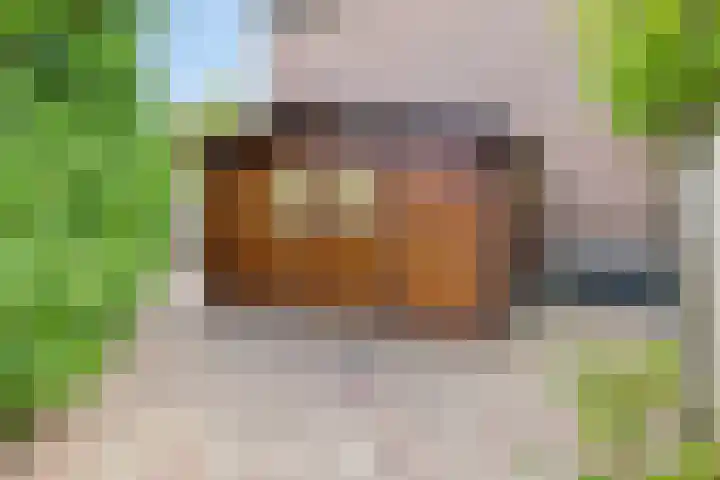Pimperneldonk 27 Spijkenisse thumbnail 20