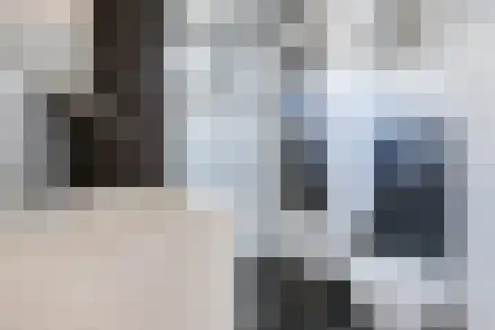 Pimperneldonk 27 Spijkenisse thumbnail 24