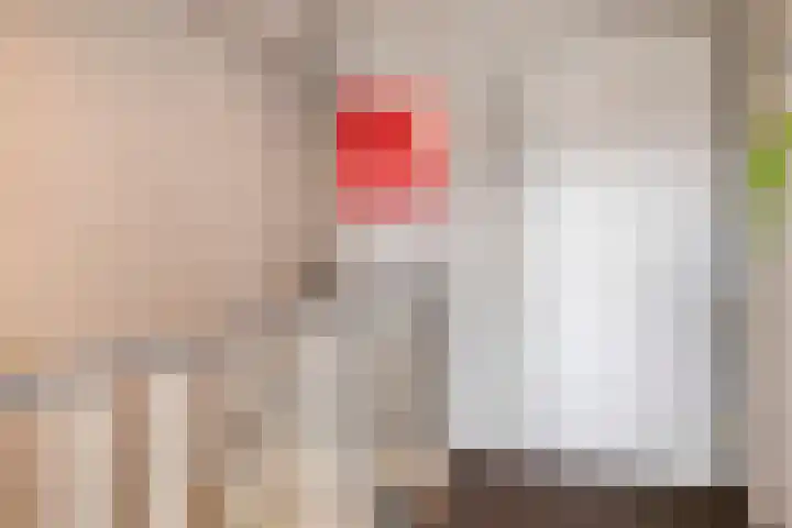 Pimperneldonk 27 Spijkenisse thumbnail 28