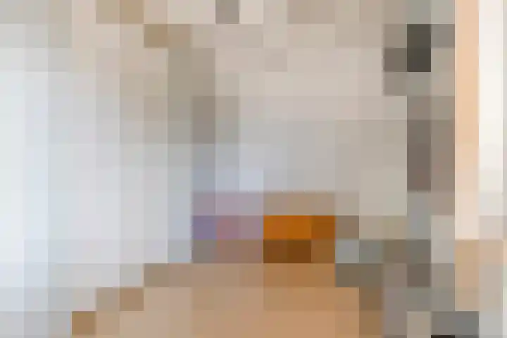 Pimperneldonk 27 Spijkenisse thumbnail 29
