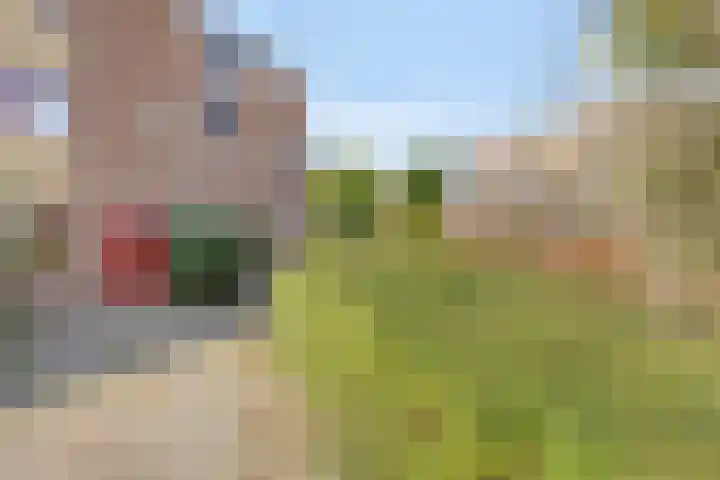 Pimperneldonk 27 Spijkenisse thumbnail 32