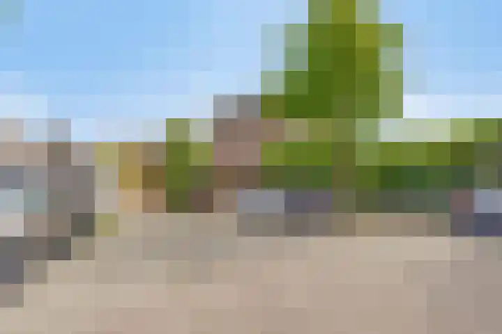Pimperneldonk 27 Spijkenisse thumbnail 33