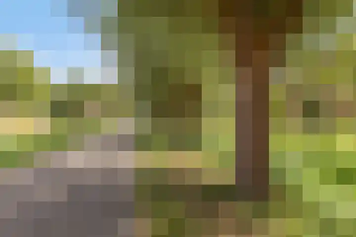 Pimperneldonk 27 Spijkenisse thumbnail 34