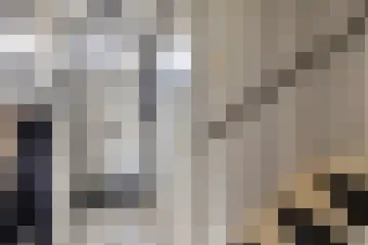 Pimperneldonk 27 Spijkenisse thumbnail 6