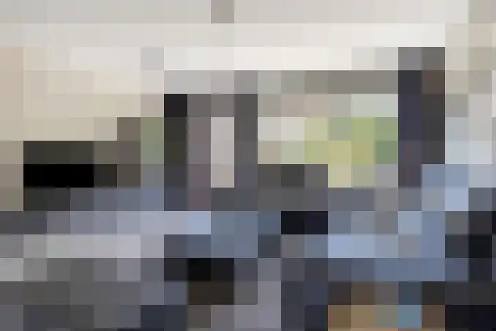 Pimperneldonk 27 Spijkenisse thumbnail 8