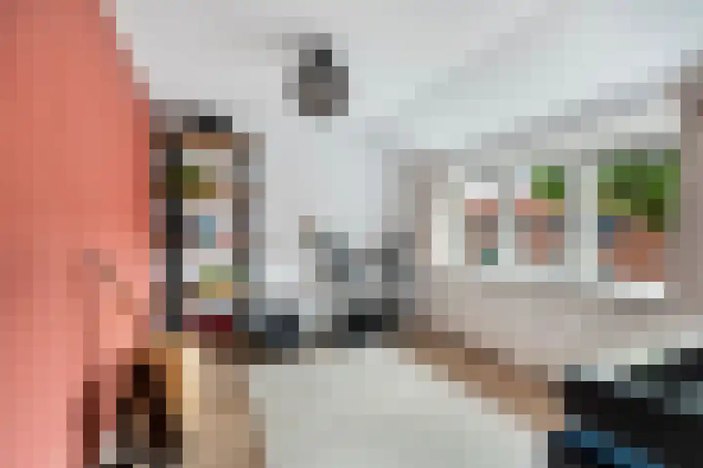 Pimpernelstraat 18 Arnhem thumbnail 17