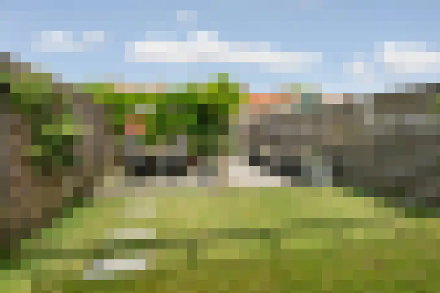 Pimpernelstraat 18 Arnhem thumbnail 31