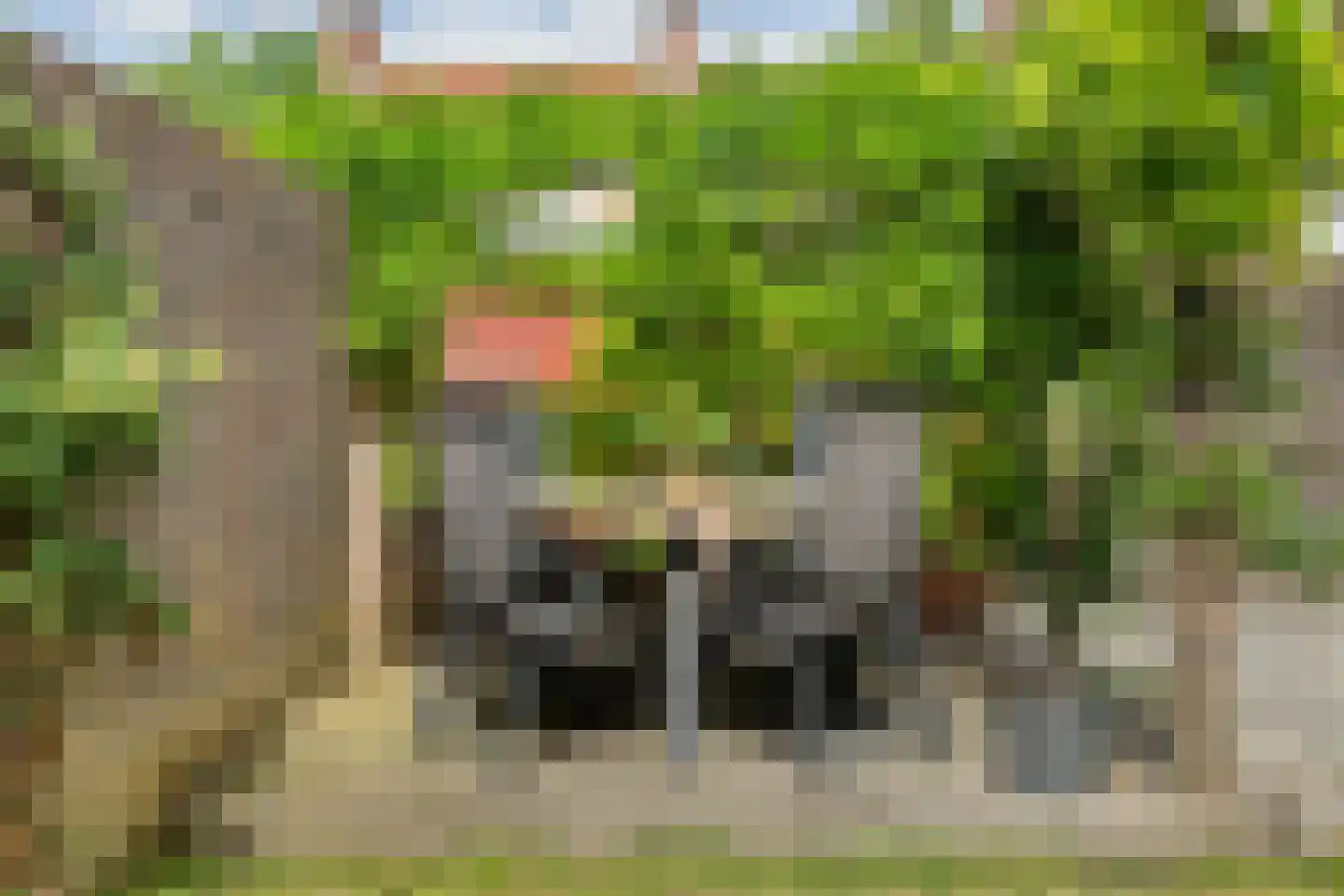 Pimpernelstraat 18 Arnhem thumbnail 32