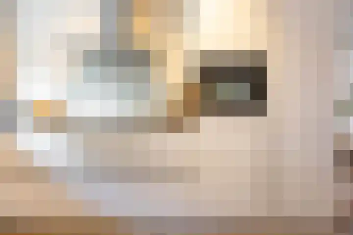 Pimpernelstraat 4 Groningen thumbnail 20