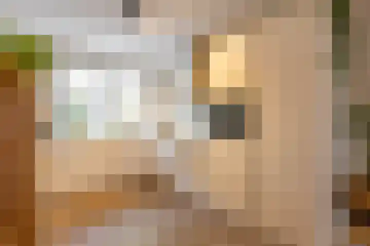Pimpernelstraat 4 Groningen thumbnail 21