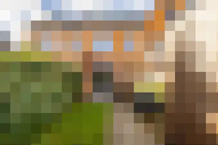Pimpernelstraat 4 Groningen thumbnail 23