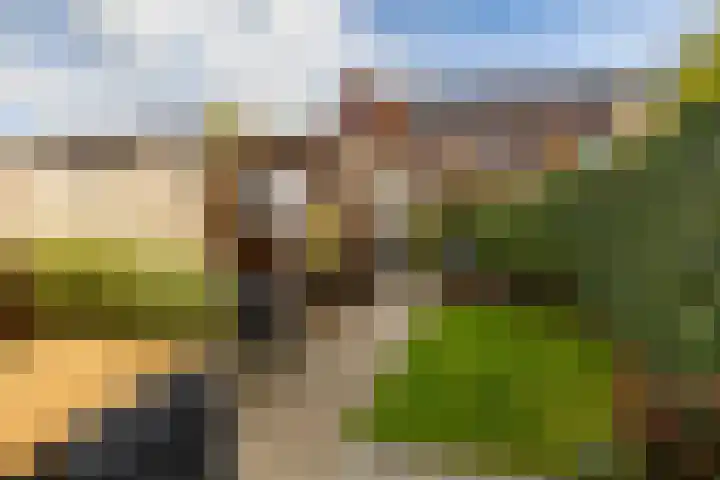 Pimpernelstraat 4 Groningen thumbnail 24