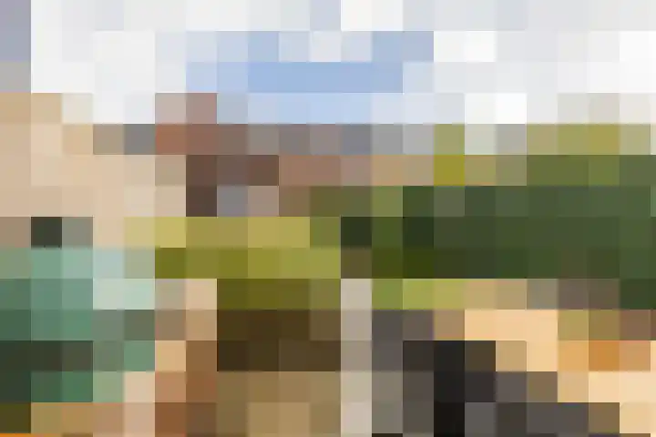 Pimpernelstraat 4 Groningen thumbnail 25