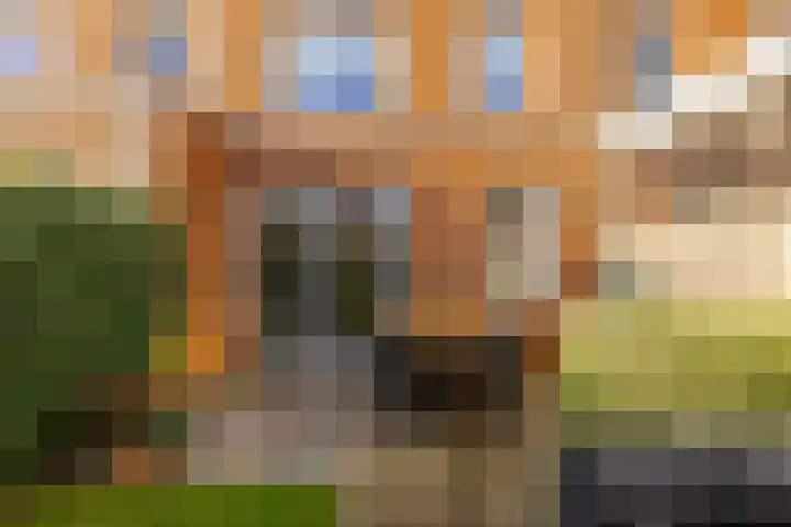 Pimpernelstraat 4 Groningen thumbnail 26