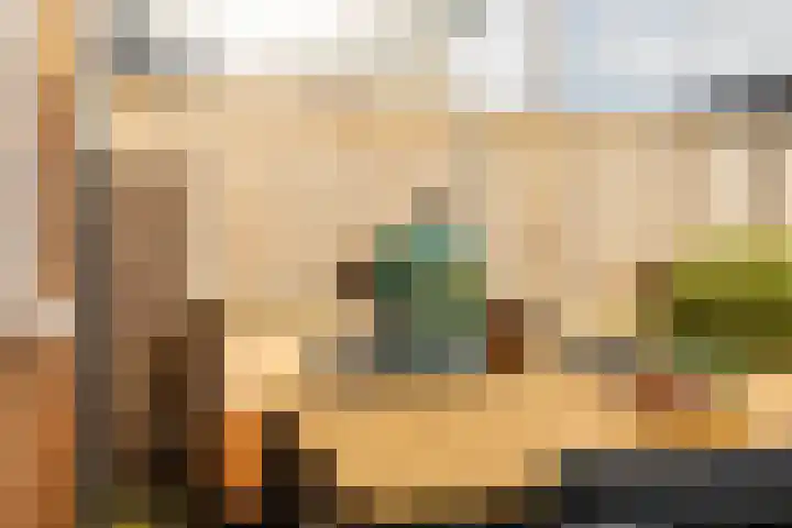 Pimpernelstraat 4 Groningen thumbnail 27