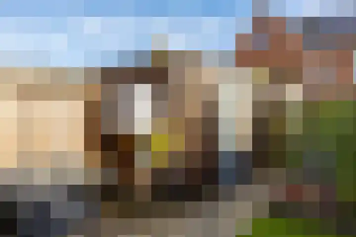 Pimpernelstraat 4 Groningen thumbnail 28