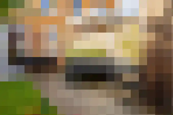 Pimpernelstraat 4 Groningen thumbnail 29