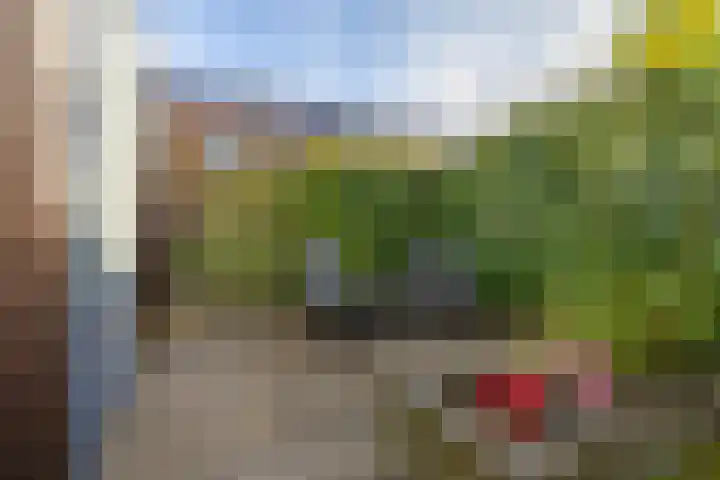 Pimpernelstraat 4 Groningen thumbnail 30