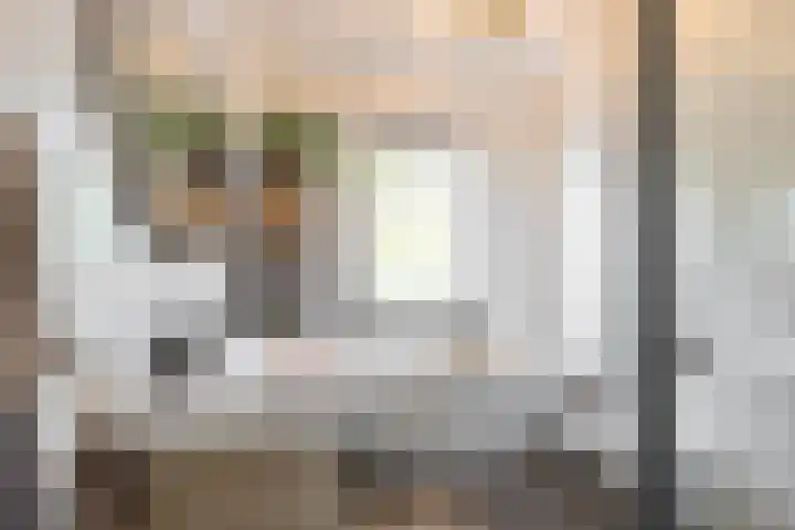 Pimpernelstraat 4 Groningen thumbnail 37