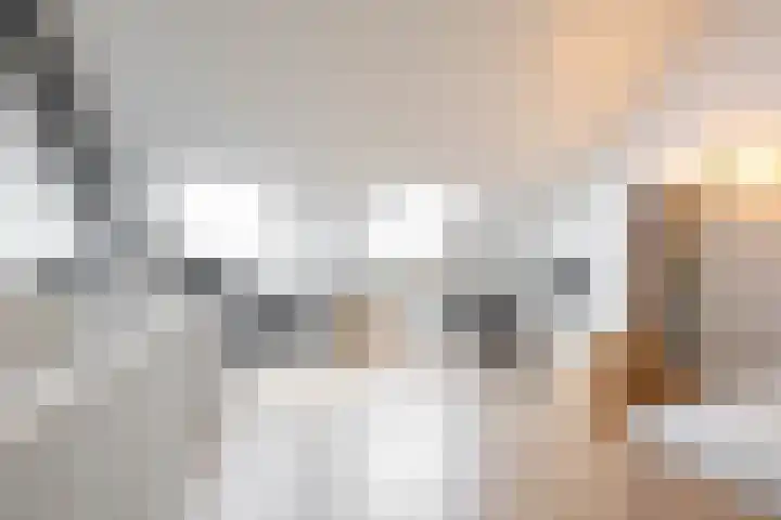 Pimpernelstraat 4 Groningen thumbnail 44
