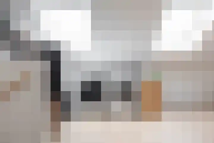 Pimpernelstraat 4 Groningen thumbnail 46