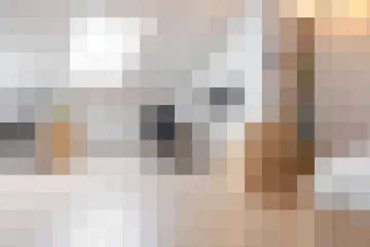 Pimpernelstraat 4 Groningen thumbnail 47
