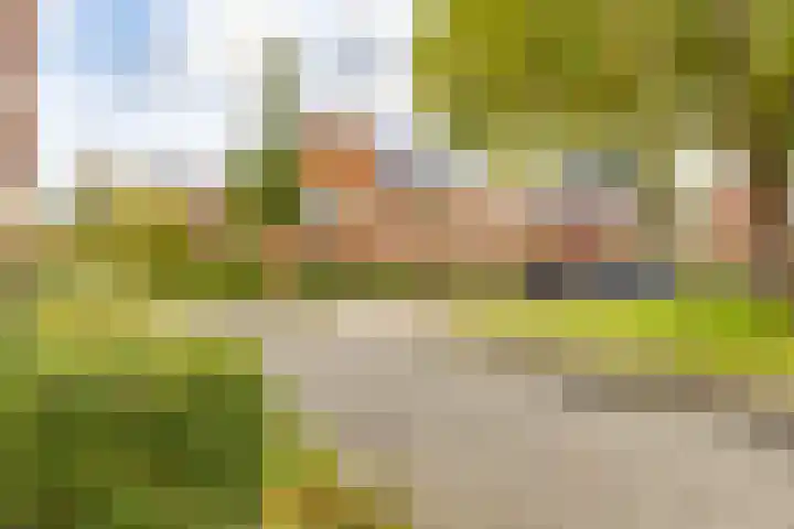 Pimpernelstraat 4 Groningen thumbnail 49