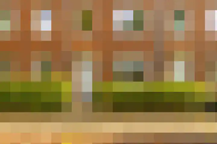 Pimpernelstraat 4 Groningen thumbnail 6