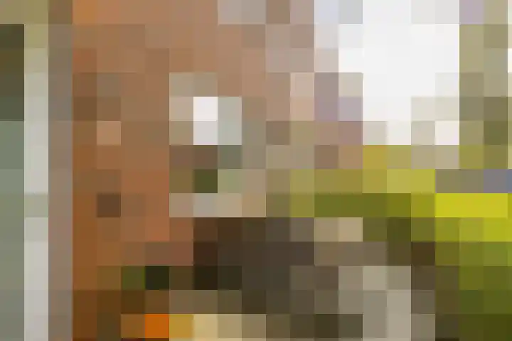 Pimpernelstraat 4 Groningen thumbnail 7