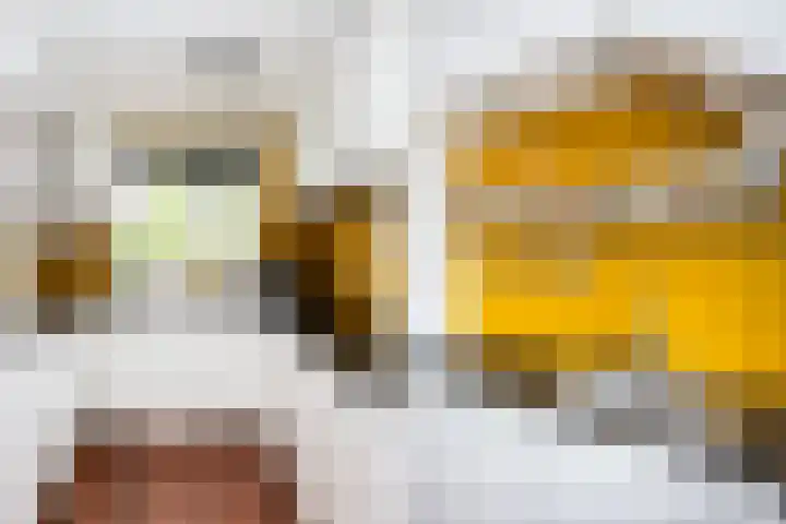 Pimpernelweg 64 Zwolle thumbnail 10