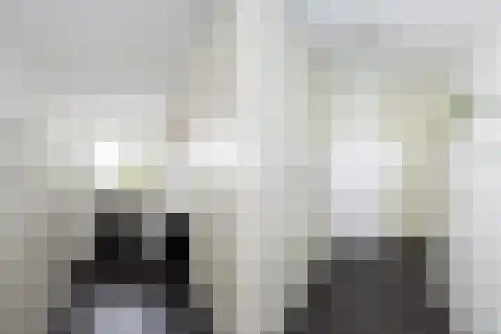 Pimpernelweg 64 Zwolle thumbnail 18