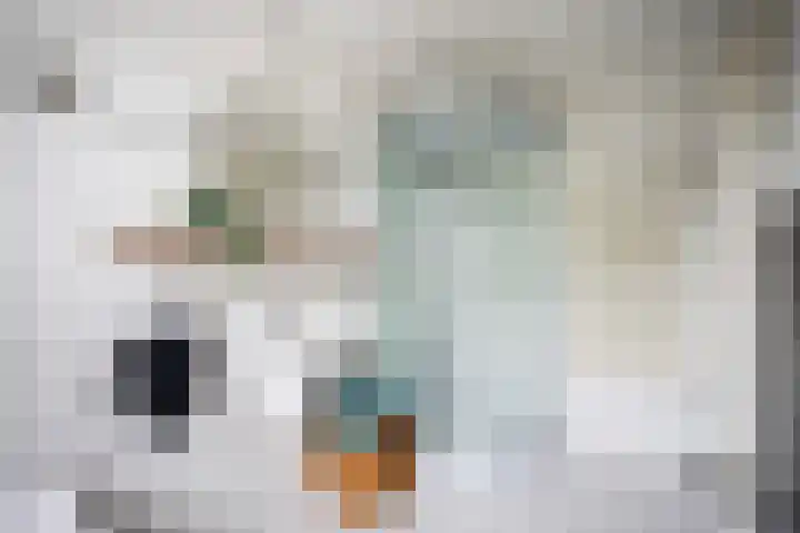 Pimpernelweg 64 Zwolle thumbnail 22