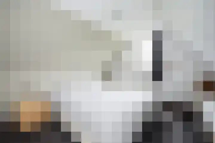 Pimpernelweg 64 Zwolle thumbnail 23