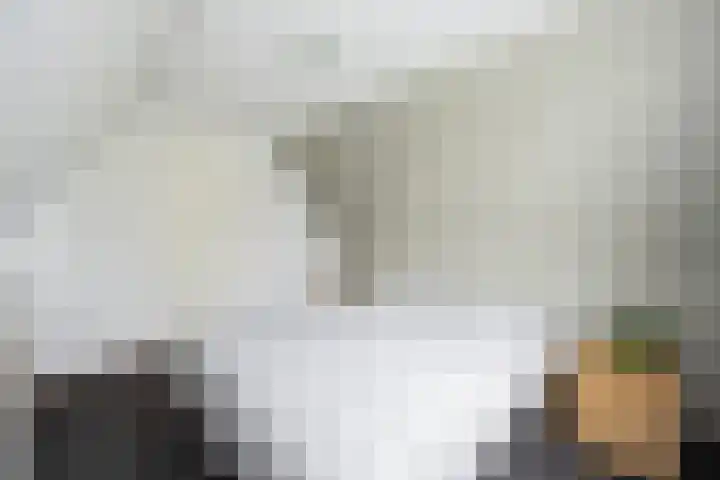 Pimpernelweg 64 Zwolle thumbnail 24