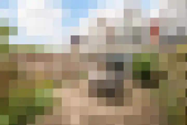 Pimpernelweg 64 Zwolle thumbnail 26