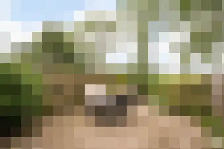 Pimpernelweg 64 Zwolle thumbnail 27