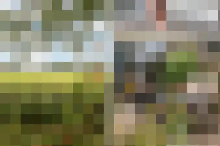 Pimpernelweg 64 Zwolle thumbnail 28
