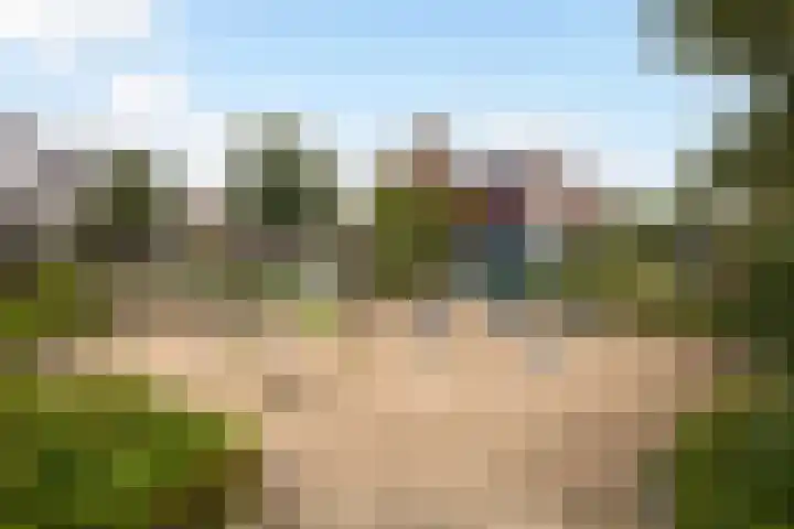 Pimpernelweg 64 Zwolle thumbnail 29
