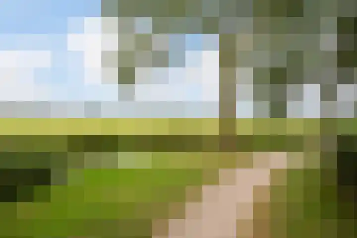 Pimpernelweg 64 Zwolle thumbnail 30